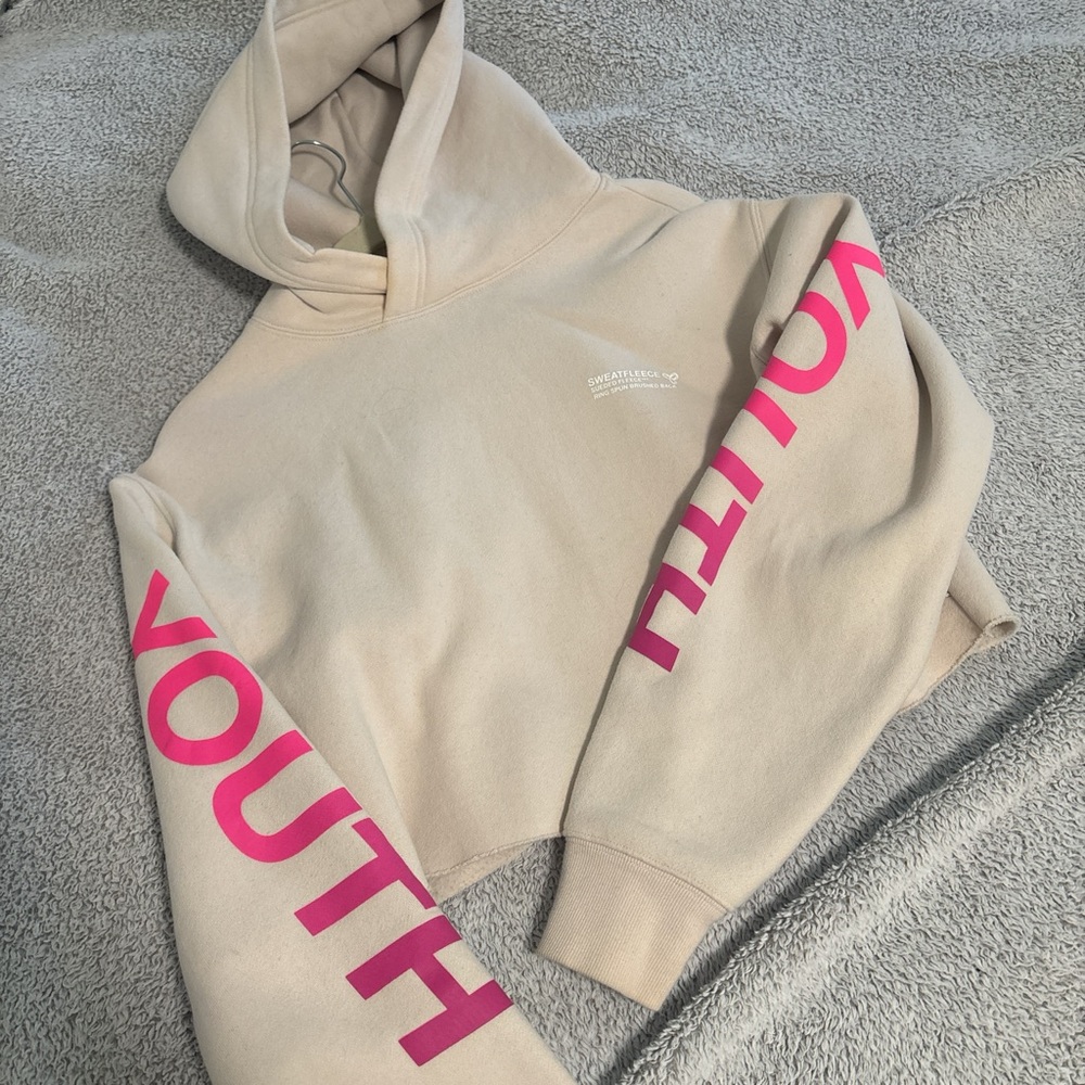 Aritzia hoodie
